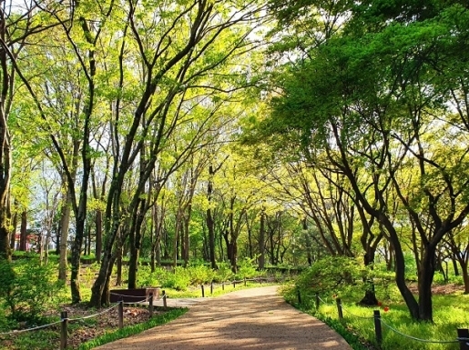 ���� ����4