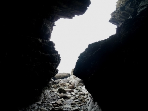 ���� ����5