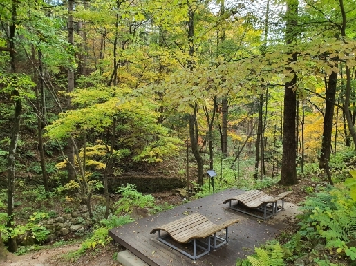 ���� ����2