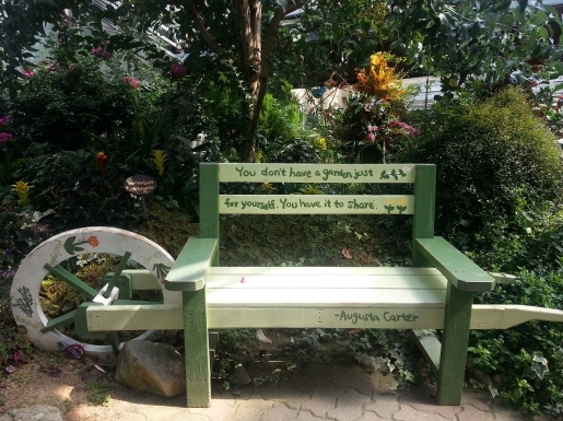 ���� ����5