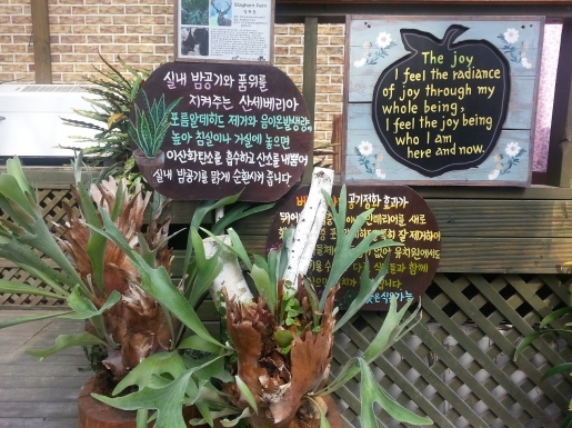 ���� ����4