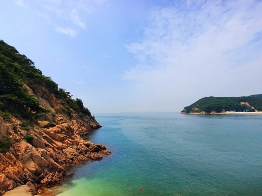 ���� ����5