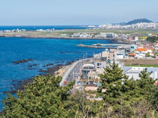 ���� ����6