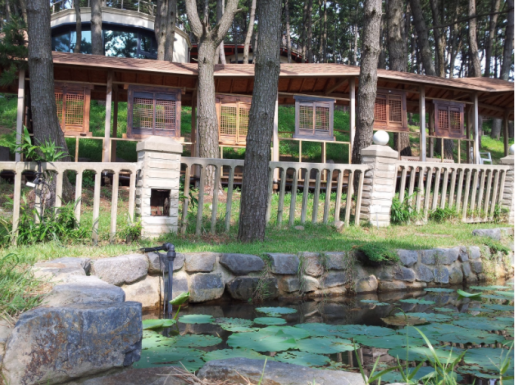 ���� ����3