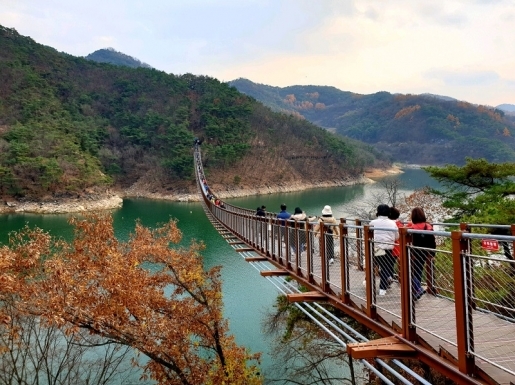 ���� ����5