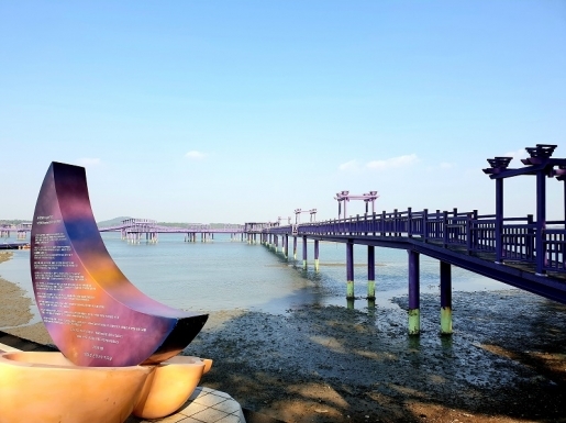 ���� ����5