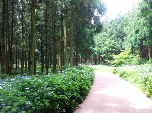 ���� ����3