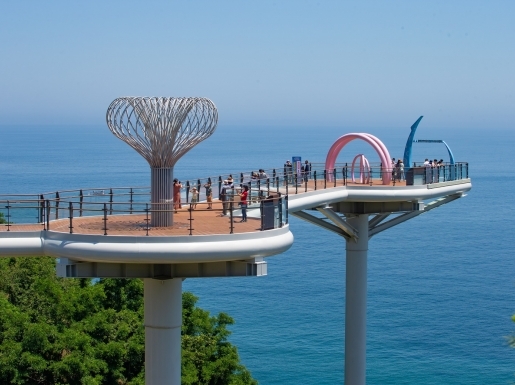 ���� ����6