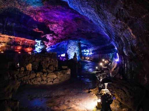 ���� ����7