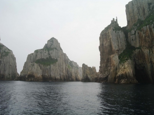 ���� ����5