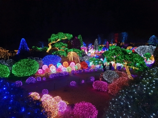 ���� ����6