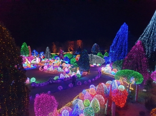 ���� ����5