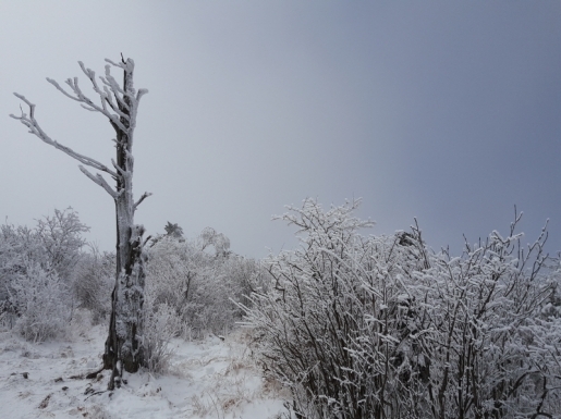 ���� ����2