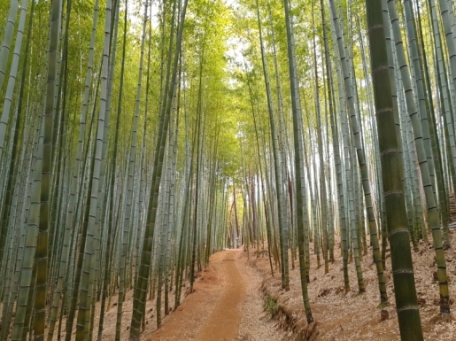 ���� ����5