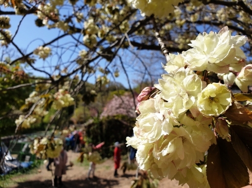 ���� ����2