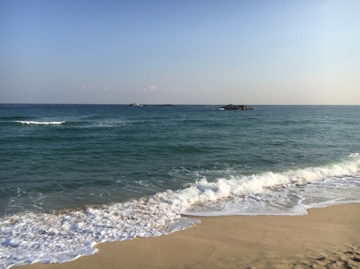 ���� ����6