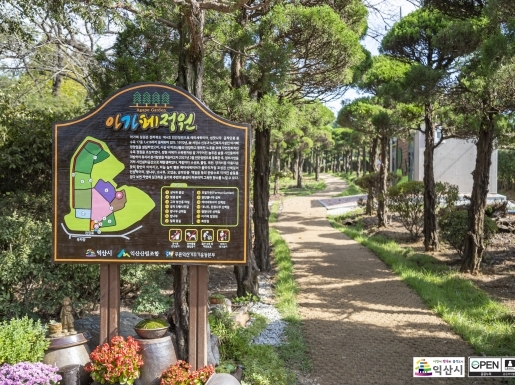 ���� ����7