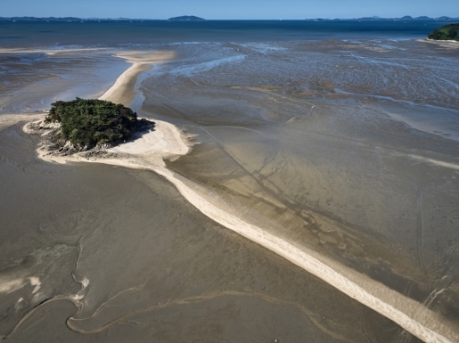 ���� ����4