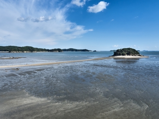 ���� ����3