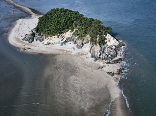 ���� ����5