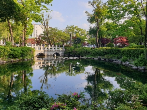 ���� ����5