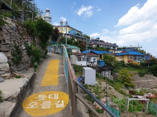 ���� ����5