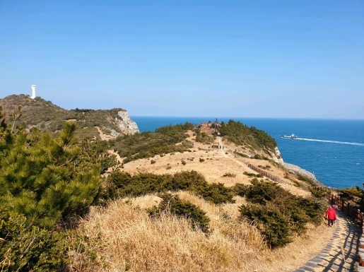 ���� ����4