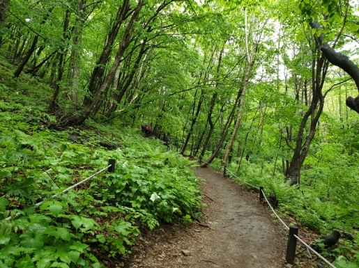 ���� ����6