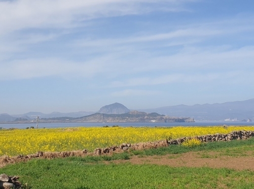 ���� ����2