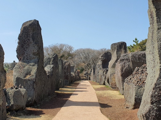 ���� ����7