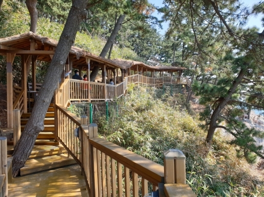 ���� ����2