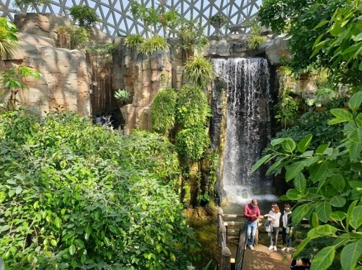 ���� ����5