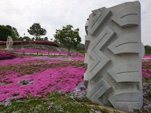 ���� ����5