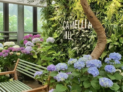 ���� ����3