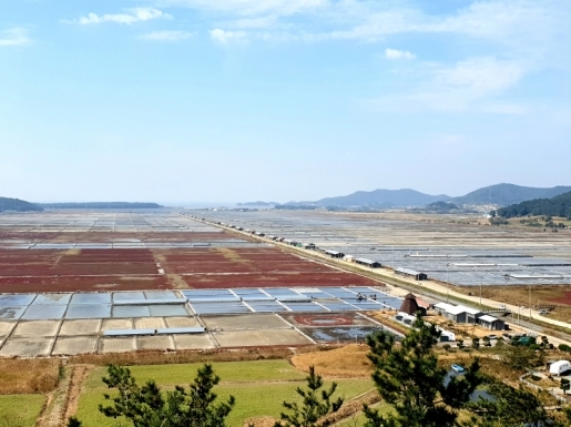 ���� ����2