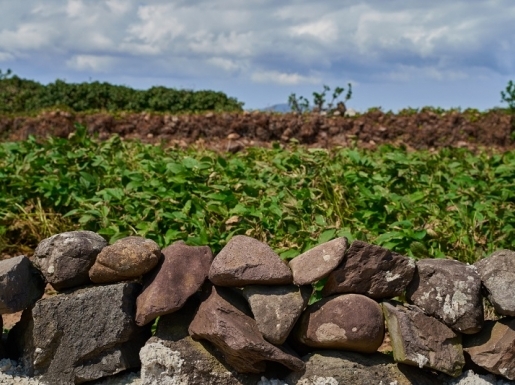 ���� ����2