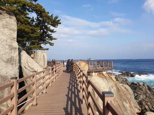 ���� ����3