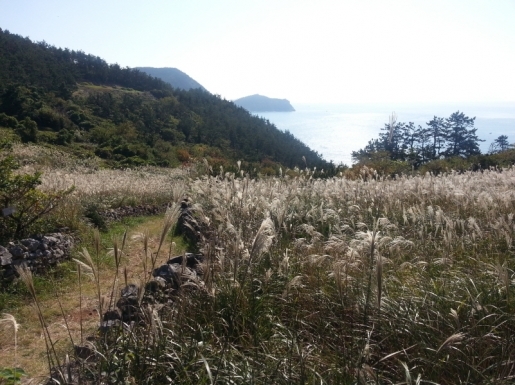 ���� ����3