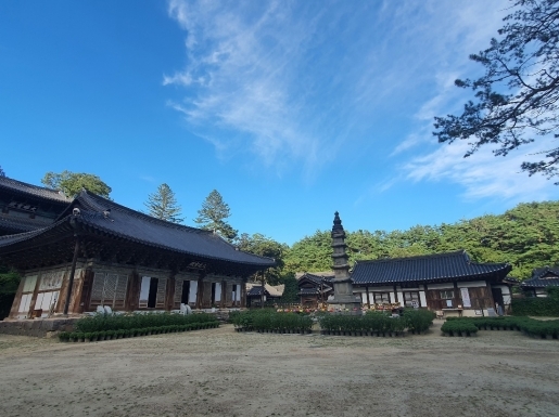 ���� ����4