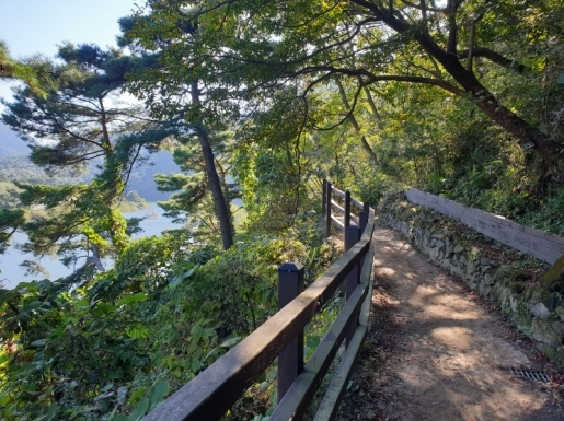 ���� ����6