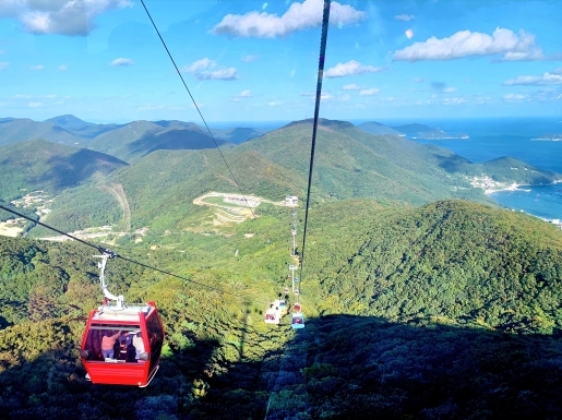 ���� ����3