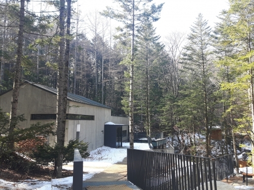 ���� ����2