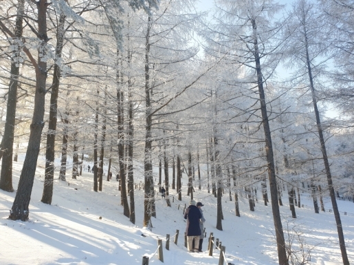 ���� ����6