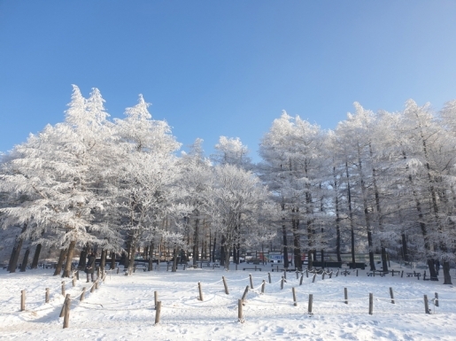 ���� ����5