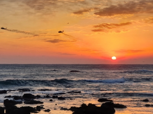 ���� ����2