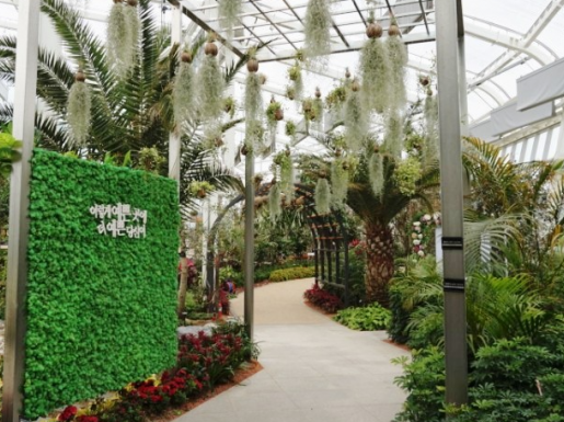 ���� ����6