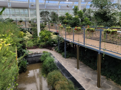 ���� ����5