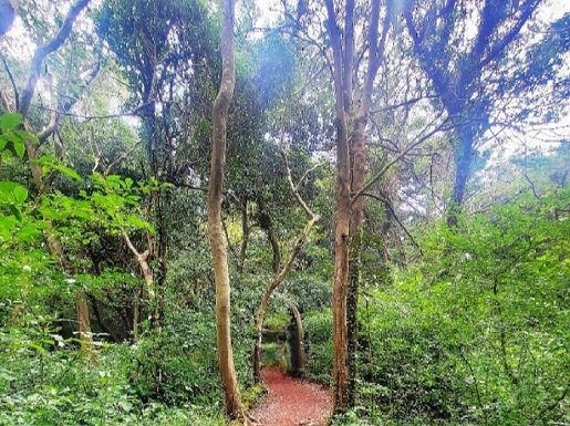 ���� ����4