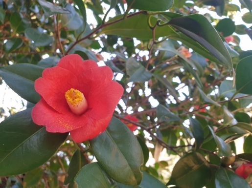 ���� ����7