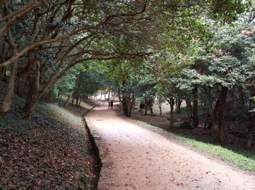 ���� ����5